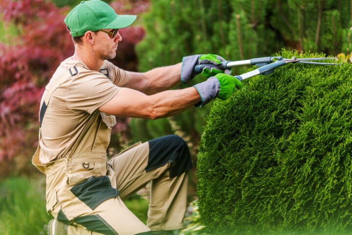 Garden & Grounds Maintenance Services Liverpool | UK Commercial Group